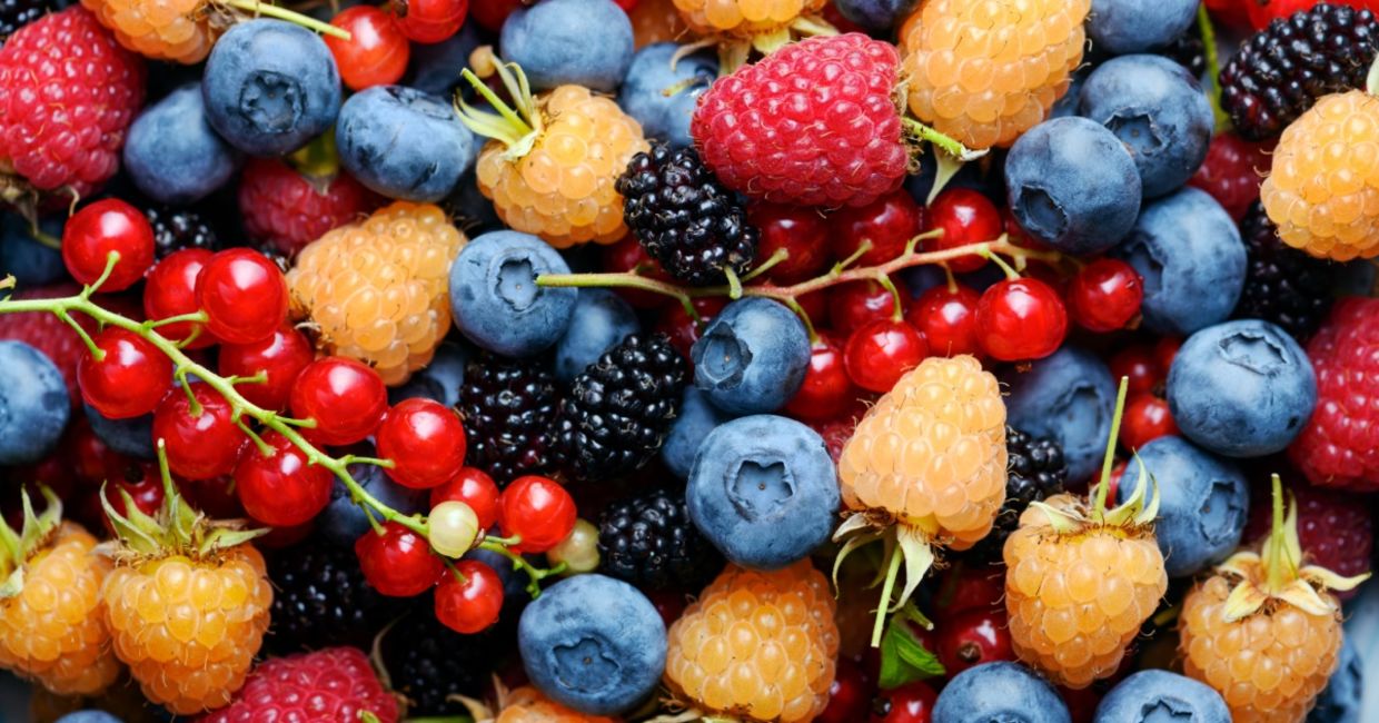 Mixed berries are healthy and sweet. Mixed berries are healthy and sweet.