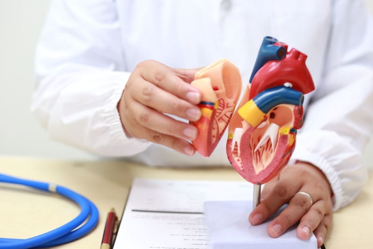 Israel marks a historic moment with artificial heart breakthroughs. Israel marks a historic moment with artificial heart breakthroughs.
